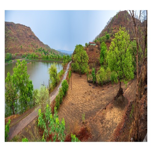 Swadesh Homestay Swadesh Homestay